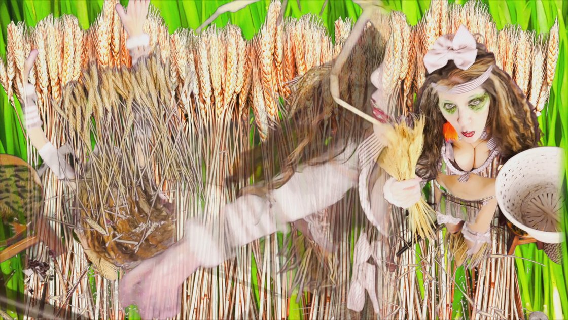 Bringing In The Sheaves - DistroVid Gallery