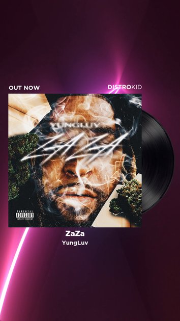 ZaZa Mini Video - DistroKid Video